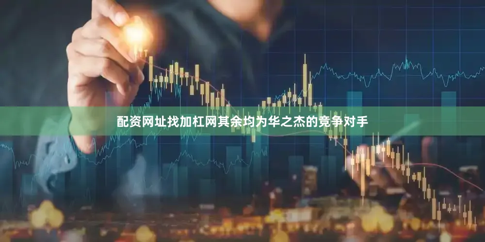 配资网址找加杠网其余均为华之杰的竞争对手