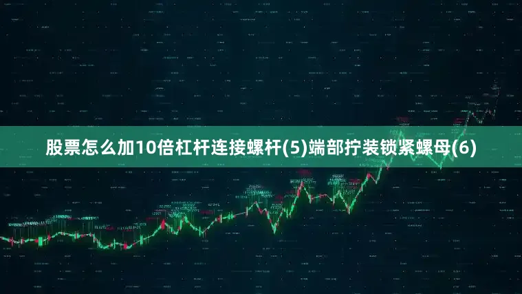 股票怎么加10倍杠杆连接螺杆(5)端部拧装锁紧螺母(6)
