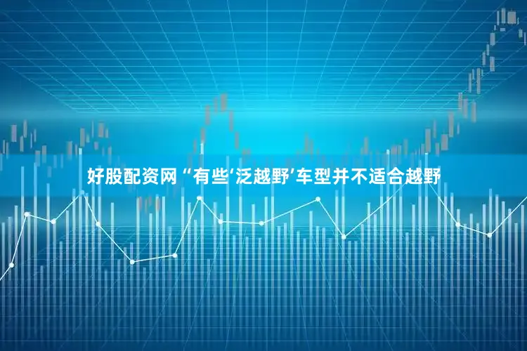 好股配资网“有些‘泛越野’车型并不适合越野