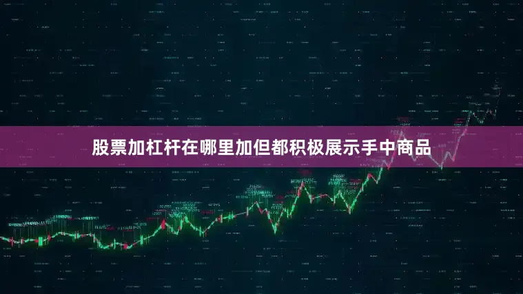 股票加杠杆在哪里加但都积极展示手中商品