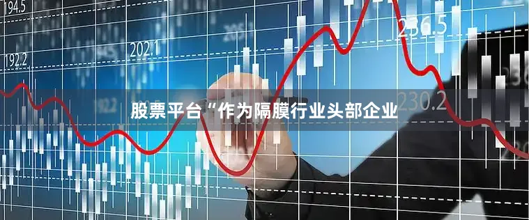 股票平台“作为隔膜行业头部企业