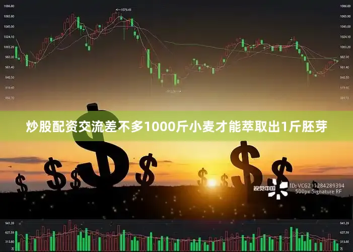 炒股配资交流差不多1000斤小麦才能萃取出1斤胚芽